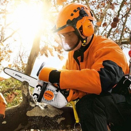 STIHL MS 151 TC-E Бензинов верижен трион 25 см (11462000056)